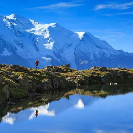 Le Cristal - Grands Montets 18 - Happy *