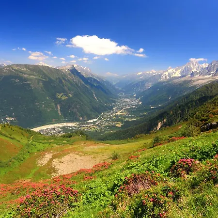 Appartement Le Cristal - Grands Montets 18 - Happy *